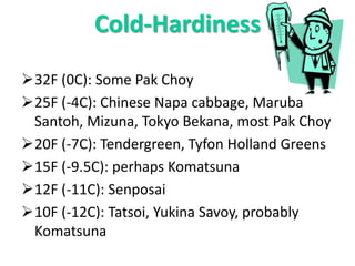 Cold-Hardiness
32F (0C): Some Pak Choy
25F (-4C): Chinese Napa cabbage, Maruba
Santoh, Mizuna, Tokyo Bekana, most Pak Choy
20F (-7C): Tendergreen, Tyfon Holland Greens
15F (-9.5C): perhaps Komatsuna
12F (-11C): Senposai
10F (-12C): Tatsoi, Yukina Savoy, probably
Komatsuna
 