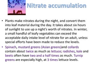 Nitrate accumulation
• Plants make nitrates during the night, and convert them
into leaf material during the day. It takes about six hours
of sunlight to use up a night’s worth of nitrates. In winter,
a small handful of leafy vegetables can exceed the
acceptable daily intake level of nitrate for an adult, unless
special efforts have been made to reduce the levels.
• Spinach, mustard greens (Asian greens)and collards
contain about twice as much as lettuce; radishes, kale and
beets often have two and a half times as much. Turnip
greens are especially high, at 3 times lettuce levels.
 