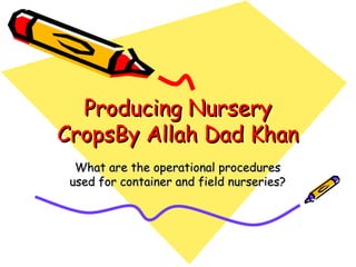 Producing NurseryProducing Nursery
CropsBy Allah Dad KhanCropsBy Allah Dad Khan
What are the operational proceduresWhat are the operational procedures
used for container and field nurseries?used for container and field nurseries?
 