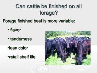 Can cattle be finished on all
forage?
Forage finished beef is more variable:
• flavor
• tenderness
•lean color
•retail shelf life

 