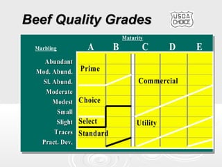 Beef Quality Grades
Maturity

Click to add text
Marbling

A

Abundant
Mod. Abund. Prime
Sl. Abund.
Moderate
Modest Choice
Small
Slight Select
Traces Standard
Pract. Dev.

B

C

D

Commercial

Utility

E

 