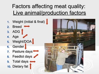 Factors affecting meat quality:
Live animal/production factors
1.
2.
3.
4.
5.
6.
7.
8.
9.
10.

Weight (initial & final)
Breed
ADG
Age
Weight/DOA
Gender
Pasture days
Feedlot days
Total days
Dietary fat

 