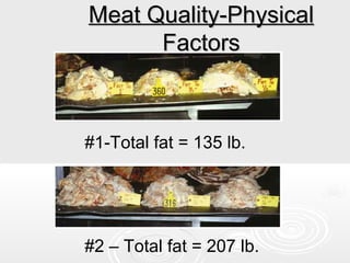 Meat Quality-Physical
Factors

#1-Total fat = 135 lb.

#2 – Total fat = 207 lb.

 