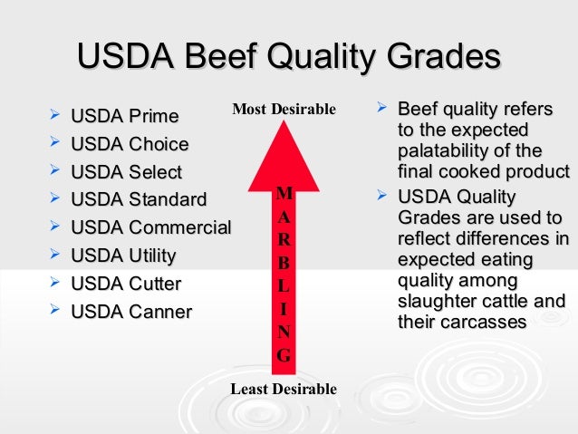 producing quaility beef usda meat grades chart