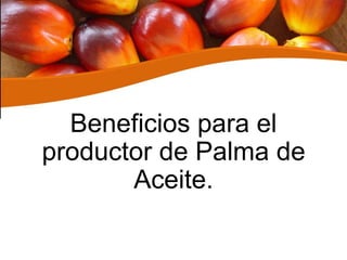 Beneficios para el
productor de Palma de
Aceite.
 