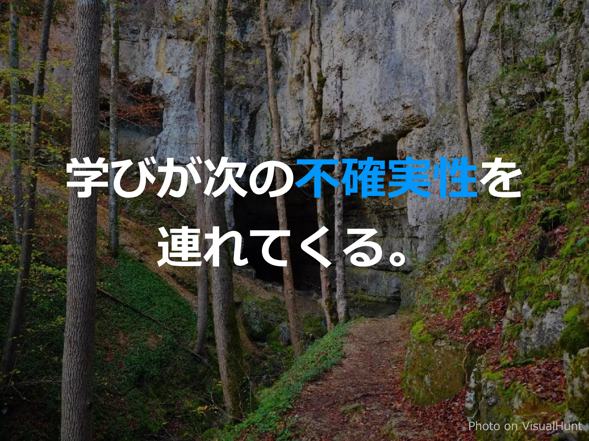 学びが次の不確実性を
連れてくる。
Photo on VisualHunt
 