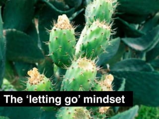 The ‘letting go’ mindset
 