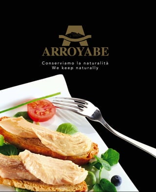 Product Catalog Arroyabe (english version)