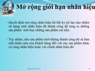 Mở rộng giới hạn nhãn hiệu Quyết định mở rộng nhãn hiệu làì bất kỳ nổ lực nào nhằm sử dụng một nhãn hiệu đã thành công để tung ra những sản phẩm  mới hay những sản phẩm cải tiến.  Tuy nhiên, nếu sản phẩm mới không thành công thì sẽ làm mất thiện cảm của khách hàng đối với các sản phẩm khác có cùng nhãn hiệu hoặc với chính nhãn hiệu đó. Nhóm 1 KTNN 52C 