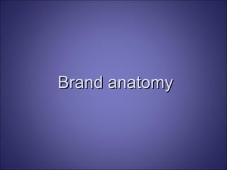 Brand anatomy 