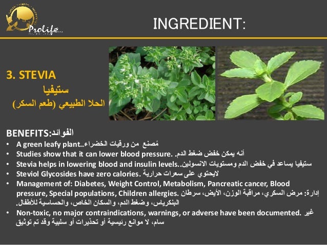 metabolism exercise increase with to how ARABIC PRESENTATION PROLIFE PRODUCT metabolism exercise increase with to how ARABIC PRESENTATION PROLIFE PRODUCT