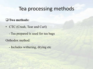 Tea processing methods
 Two methods:

• CTC (Crush, Tear and Curl)

  - Tea prepared is used for tea bags

Orthodox method:

  - Includes withering, drying etc
 
