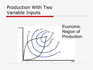 Production With Two Variable Inputs Economic Region of Production 