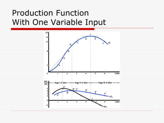 Production Function With One Variable Input 