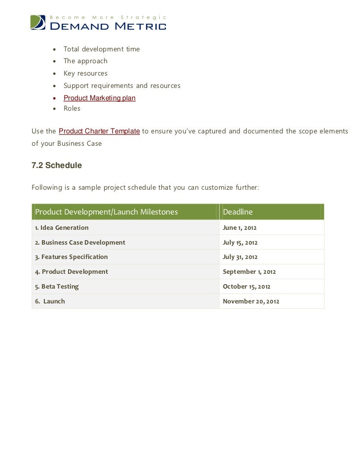 Product Development Business Case Template