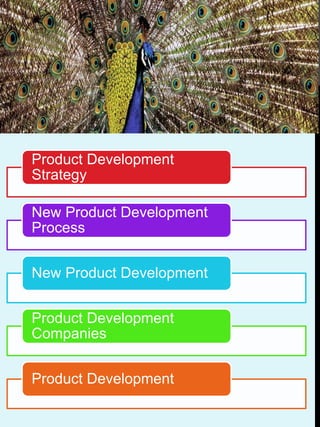 New product development 6 essentials Food and beverage manufacturers must  know
