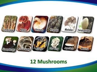 12 Mushrooms
 