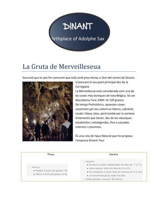 La Gruta de Merveilleseua
Excursió que es pot fer caminant que està amb prou feines a 1km del centre de Dinant,
travessant el seu pont principal des de la
Col·legiata.
La Merveilleuse està considerada com una de
les coves més boniques de tota Bèlgica. Va ser
descoberta l'any 1904 i té 120 graons.
De temps Prehistòrics, aquestes coves
sorprenen pel seu colorit en blancs, sobretot,
rosats i blaus clars, però també per la varietat
d'elements que tenen, des de les clàssiques
estalactites i estalagmites, fins a cascades
interiors i columnes.
És una ruta de tipus Natural que ho proposa
l'empresa Dinant-Tour
Preus Horaris
 