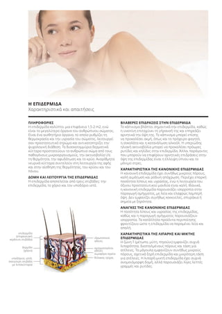 Η ΕΠΙΔΕΡΜΙΔΑ
Χαρακτηριστικά και απαιτήσεις
ΠΛΗΡΟΦΟΡΙΕΣ
Η επιδερμίδα καλύπτει μια επιφάνεια 1,5-2 m2, ενώ
είναι το μεγαλύτερο όργανο του ανθρώπινου σώματος.
Είναι ένα αισθητήριο όργανο, το οποίο ρυθμίζει τη
θερμοκρασία και την υγρασία του σώματος, λειτουργεί
σαν προστατευτικό στρώμα και αντικατοπτρίζει την
ψυχολογική διάθεση. Τα δισεκατομμύρια δερματικά
κύτταρα προστατεύουν το ανθρώπινο σώμα από τους
παθογόνους μικροοργανισμούς, την ακτινοβολία UV,
τη θερμότητα, την αφυδάτωση και το κρύο. Αναρίθμητα
νευρικά κύτταρα συντελούν στη λειτουργία της αφής
και στην αίσθηση της θερμότητας, του κρύου και του
πόνου.
ΔΟΜΗ ΚΑΙ ΛΕΙΤΟΥΡΓΙΑ ΤΗΣ ΕΠΙΔΕΡΜΙΔΑΣ
Η επιδερμίδα αποτελείται από τρεις στιβάδες: την
επιδερμίδα, το χόριο και τον υποδόριο ιστό.
ΒΛΑΒΕΡΕΣ ΕΠΙΔΡΑΣΕΙΣ ΣΤΗΝ ΕΠΙΔΕΡΜΙΔΑ
Το κάπνισμα βλάπτει σημαντικά την επιδερμίδα, καθώς
η νικοτίνη επιταχύνει τη γήρανσή της και επηρεάζει
αρνητικά την όψη της. Το κάπνισμα μπορεί επίσης
να προκαλέσει ακμή, όπως και το πρόχειρο φαγητό,
η σοκολάτα και η κατανάλωση αλκοόλ. Η υπεριώδης
ηλιακή ακτινοβολία μπορεί να προκαλέσει πρόωρες
ρυτίδες και κηλίδες στην επιδερμίδα. Άλλοι παράγοντες
που μπορούν να επιφέρουν αρνητικές επιδράσεις στην
όψη της επιδερμίδας είναι η έλλειψη ύπνου και το
μόνιμο στρες.
ΧΑΡΑΚΤΗΡΙΣΤΙΚΑ ΤΗΣ ΚΑΝΟΝΙΚΗΣ ΕΠΙΔΕΡΜΙΔΑΣ
Η κανονική επιδερμίδα έχει συνήθως μικρούς πόρους,
καλή αιμάτωση και ρόδινη απόχρωση. Περιέχει επαρκή
ποσότητα λίπους και υγρασίας, ενώ η λειτουργία του
όξινου προστατευτικού μανδύα είναι καλή. Ιδανικά,
η κανονική επιδερμίδα παρουσιάζει ισορροπία στην
παραγωγή σμήγματος, με λεία και ελαφρώς λαμπερή
όψη. Δεν εμφανίζει συνήθως κοκκινίλες, σπυράκια ή
σημεία με ξηρότητα.
ΑΝΑΓΚΕΣ ΤΗΣ ΚΑΝΟΝΙΚΗΣ ΕΠΙΔΕΡΜΙΔΑΣ
Η ποσότητα λίπους και υγρασίας της επιδερμίδας,
καθώς και η παραγωγή σμήγματος παρουσιάζουν
ισορροπία. Τα κατάλληλα προϊόντα περιποίησης
φροντίζουν ώστε η επιδερμίδα να παραμένει λεία και
απαλή.
ΧΑΡΑΚΤΗΡΙΣΤΙΚΑ ΤΗΣ ΛΙΠΑΡΗΣ ΚΑΙ ΜΙΚΤΗΣ
ΕΠΙΔΕΡΜΙΔΑΣ
Η ζώνη Τ (μέτωπο, μύτη, πηγούνι) εμφανίζει συχνά
λιπαρότητα, διεσταλμένους πόρους και τάση για
ατέλειες. Τα μάγουλα εμφανίζουν συνήθως μικρούς
πόρους, σχετικά ξηρή επιδερμίδα και μικρότερη τάση
για ατέλειες. Η λιπαρή-μικτή επιδερμίδα έχει συχνά
ανομοιόμορφη δομή, αλλά παρουσιάζει λίγες λεπτές
γραμμές και ρυτίδες.
επιδερμίδα
(επιφανειακή
κεράτινη στιβάδα)
ιδρωτοποιοί
αδένες
σμηγματογόνοι
αδένες
αιμοφόρα αγγεία
θύλακας τρίχας
δερμίδα
(χόριο)
υποδόριος ιστός
(κατώτερη στιβάδα
με λιποκύτταρα)
Product Manual 2018 GR.indb 47 20-Dec-17 11:07:13 AM
 