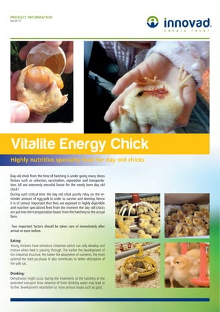 Vitalite Energy Chick
Highly nutritive specialty feed for day old chicks
PRODUCT INFORMATION
03/2015
Day old chick from the time of hatching is under going many stress
factors such as selection, vaccination, separation and transporta-
tion. All are extremely stressful factor for the newly born day old
chick!
During such critical time the day old chick purely relay on the re-
minder amount of egg yolk in order to survive and develop, hence
it is of utmost important that they are exposed to highly digestible
and nutritive specialized feed from the moment the day old chicks
are put into the transportation boxes from the hatchery to the actual
farm.
Two important factors should be taken care of immediately after
arrival or even before.
Eating:
Young chickens have immature intestines which can only develop and
mature when feed is passing through. The earlier the development of
the intestinal structure, the better the absorption of nutrients, the more
optimal the start-up phase. It also contributes to better absorption of
the yolk sac.
Drinking:
Dehydration might occur during the treatments at the hatchery or the
extended transport time. Absence of fresh drinking water may lead to
further development retardation or more serious issues such as gout.
 