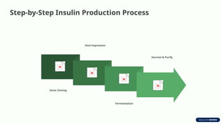 Production-of-Insulin by recombinant.pptx