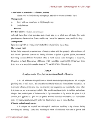 4. Ber beetle or leaf chafer: (Adorentus pallers)
Beetles feed on leaves mainly during night. The leaves become just like a sieve.
Management:
a. Spray with one kg carbaryl in 300 litres of water.
b. Use light traps.
Diseases:
Powdery mildew: (Oidium emysiphoides)
Affected fruits show white powdery spots which later cover whole area of fruits. The white
powdery mass also spread on flowers and leaves. Later white spots turn brown and fruits drop.
Management:
Spray dinocep 0.1% at 15 days interval after fruit set preferably at pea stage.
Harvest and yield:
In ber, fruits harvested at correct stage of maturity alone will ripe properly. Aftr attainment of
full size of a particular cultivar and turning of colour to yellow or golden yellow, the normal
harvesting season is October-November, while in North India it varies from place to place viz.,
December to April. The average yild from a 10-20 year old tre would be 100-200 kg/year. If the
fruits have to be stored, they can be stored at 30
C and 85-90% for 30 to 40 days.
JAMUN
Syzygium cumini (Syn: Eugenia jambolana) Family : Myrtaceae
It is a tall handsome evergreen tree of tropical and subtropical regions and has its origin
probably India or East Indies. It is one of the most hardy fruits and best suited for wastelands. It
is drought tolerant, at the same time can tolerate water stagnation and marshlands, where other
fruit crops can not be grown successfully. The wood is used as a timber in building and railway
sleeper. One hundred gram of fruits contain 19.7 g carbohydrate, 0.7 g protein, 1.0 g iron, 0.02 f
calcium, 0.01 g phorus 0.1 g fat and 0.9 g fibre. Besides taken as a dessert fruit, it is also used to
make beverages, squash, jam, jelly and wine. Fruit syrup is used in curing diarrhea.
Climatic and soil requirements :
It is adapted to tropical and subtropical conditions requiring a dry climate during
flowering and fruiting. Early rains resulting in better soil moisture will help in growth and
100
Production Technology of Fruit Crops
www.Agrimoon.Com
 