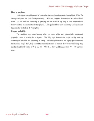 Plant protection :
Leaf eating caterpillars can be controlled by spraying dimethoate / malathion. White fly
damages all parts and even fruits get wormy. Affected, dropped fruits should be collected and
burnt. At the time of flowering if spraying has to be taken up only a safe insecticide to
honeybees like endosulfan has to be sprayed. Leaf spot and fruit spot caused by Glomerella can
be controller by Indofil Z. 78 (2 g/lit.)
Harvest and yield :
The seedling trees start bearing after 10 years, while the vegetatively propagated
progenies come to bearing in 5- 6 years. The fully ripe fruits should be picked by hand by
climbing on the trees and collecting in a bag. Since the jamun fruits are highly perishable and
hardly stand only 5 days, they should be immediately sent to market. However if necessary they
can be stored for 3 weeks at 90 C and 85 – 90% RH. They yield ranges from 70 – 100 kg /tree/
year.
102
Production Technology of Fruit Crops
www.Agrimoon.Com
 