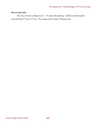 Harvest and yield :
The trees will start yielding from 8 – 10 years after planting. Grafted or budded plants
will yield from 5th
year or 6th
year. The average yield is about 150 kg/tree/year.
107
Production Technology of Fruit Crops
www.Agrimoon.Com
 