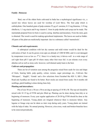 Family : Rutaceae
Beal, one of the oldest fruits cultivated in India has a mythological significance viz., a
sacred tree whose leaves are used for worship of Lord Shiva. The fruit pulp which is
carbohydrate. One hundred gram of pulp contains 55 µg of carotene, 0.13 mg thiamine, 1.19 mg
riboflavin, 1.1 mg niacin and 8 mg vitamin C. from its pulp sherbet and syrup can be made. The
marmalade prepared from its fruits is used in curing diarrhea and dysentery. From the stem, gum
is obtained. The wood is used for making agricultural implements. The leaves are used as fodder.
All parts of the plant are medicinally important due to a substance called ‘marmelosin’.
Climatic and soil requirements:
A subtropical condition with hot dry summer and mild winter would be ideal for the
cultivation of bael. It can be grown even upto an altitude of 1200 M MSL and it is not damaged
by temperature even as low as -70
C. Since it is a hardy tree, it thrives well in a wide range of
soil right from pH 5 upto pH 10 where many other fruit trees fail. it can tolerate even every
alkaline soil as well as stony soils. however, well drained sandy loam is the best.
Cultivars and propagation:
There are lot of variation seen among the progenies raised from seeds for size and shape
of fruits, bearing habit, pulp quality, colour, texture, sugar percentage etc., Cultivars like
‘Mirzapuri’, ‘Kaghli’, ‘Gonda’ and a few selections from Faizabad like KB 11, KB 1, Dhar
Road and Ayodhya are found to be better. Root stocks are raised from seeds. On 6 months old
seedlings, patch budding is done during June-July.
Planting and interculture:
Pits of size 50 cm x 50 cm x 50 m are dug at spacing of 10 M x M. The top soil should be
mixed with 10 15 kg of FYM and pits filled up. Planting can be done during June-July or at
beginning of monsoon. Every year regular application of 20-30 kg FYM should be done at the
beginning of monsoon. Young plants are irrigated whenever there is monsoon failure. Any
legume or forage crop can be taken as inter crop during early years. Young plants are trained
with the help of stake. No annual pruning. However, criss-cross, weak and broken branches have
to be removed periodically.
110
Production Technology of Fruit Crops
www.Agrimoon.Com
 