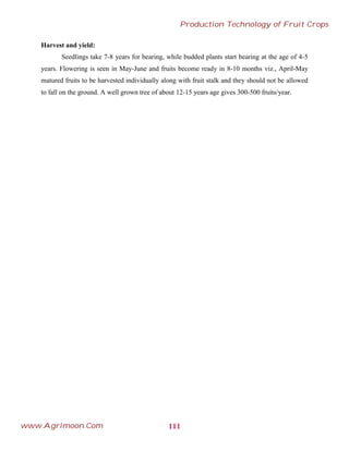 Harvest and yield:
Seedlings take 7-8 years for bearing, while budded plants start bearing at the age of 4-5
years. Flowering is seen in May-June and fruits become ready in 8-10 months viz., April-May
matured fruits to be harvested individually along with fruit stalk and they should not be allowed
to fall on the ground. A well grown tree of about 12-15 years age gives 300-500 fruits/year.
111
Production Technology of Fruit Crops
www.Agrimoon.Com
 