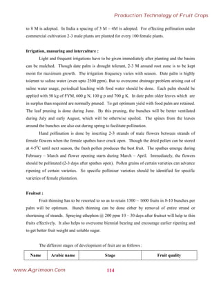 to 8 M is adopted. In India a spacing of 3 M – 4M is adopted. For effecting pollination under
commercial cultivation 2-3 male plants are planted for every 100 female plants.
Irrigation, manuring and interculture :
Light and frequent irrigations have to be given immediately after planting and the basins
can be mulched. Though date palm is drought tolerant, 2-3 M around root zone is to be kept
moist for maximum growth. The irrigation frequency varies with season. Date palm is highly
tolerant to saline water (even upto 2500 ppm). But to overcome drainage problem arising out of
saline water usage, periodical leaching with food water should be done. Each palm should be
applied with 50 kg of FYM, 600 g N, 100 g p and 700 g K. In date palm older leaves which are
in surplus than required are normally pruned. To get optimum yield with food palm are retained.
The leaf pruning is done during June. By this pruning, the bunches will be better ventilated
during July and early August, which will be otherwise spoiled. The spines from the leaves
around the bunches are also cut during spring to facilitate pollination.
Hand pollination is done by inserting 2-3 strands of male flowers between strands of
female flowers when the female spathes have crack open. Though the dried pollen can be stored
at 4-50
C until next season, the fresh pollen produces the best fruit. The spathes emerge during
February – March and flower opening starts during March – April. Immediately, the flowers
should be pollinated (2-3 days after spathes open). Pollen grains of certain varieties can advance
ripening of certain varieties. So specific polliniser varieties should be identified for specific
varieties of female plantation.
Fruitset :
Fruit thinning has to be resorted to so as to retain 1300 – 1600 fruits in 8-10 bunches per
palm will be optimum. Bunch thinning can be done either by removal of entire strand or
shortening of strands. Spraying ethephon @ 200 ppm 10 – 30 days after fruitset will help to thin
fruits effectively. It also helps to overcome biennial bearing and encourage earlier ripening and
to get better fruit weight and soluble sugar.
The different stages of development of fruit are as follows :
Name Arabic name Stage Fruit quality
114
Production Technology of Fruit Crops
www.Agrimoon.Com
 