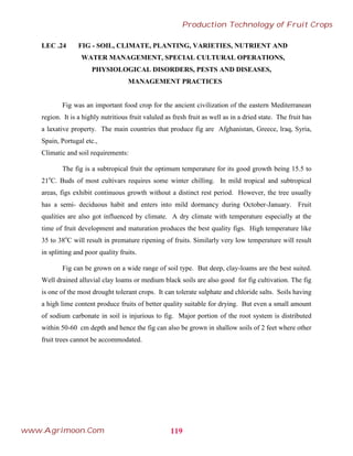LEC .24 FIG - SOIL, CLIMATE, PLANTING, VARIETIES, NUTRIENT AND
WATER MANAGEMENT, SPECIAL CULTURAL OPERATIONS,
PHYSIOLOGICAL DISORDERS, PESTS AND DISEASES,
MANAGEMENT PRACTICES
Fig was an important food crop for the ancient civilization of the eastern Mediterranean
region. It is a highly nutritious fruit valuled as fresh fruit as well as in a dried state. The fruit has
a laxative property. The main countries that produce fig are Afghanistan, Greece, lraq, Syria,
Spain, Portugal etc.,
Climatic and soil requirements:
The fig is a subtropical fruit the optimum temperature for its good growth being 15.5 to
21o
C. Buds of most cultivars requires some winter chilling. In mild tropical and subtropical
areas, figs exhibit continuous growth without a distinct rest period. However, the tree usually
has a semi- deciduous habit and enters into mild dormancy during October-January. Fruit
qualities are also got influenced by climate. A dry climate with temperature especially at the
time of fruit development and maturation produces the best quality figs. High temperature like
35 to 38o
C will result in premature ripening of fruits. Similarly very low temperature will result
in splitting and poor quality fruits.
Fig can be grown on a wide range of soil type. But deep, clay-loams are the best suited.
Well drained alluvial clay loams or medium black soils are also good for fig cultivation. The fig
is one of the most drought tolerant crops. It can tolerate sulphate and chloride salts. Soils having
a high lime content produce fruits of better quality suitable for drying. But even a small amount
of sodium carbonate in soil is injurious to fig. Major portion of the root system is distributed
within 50-60 cm depth and hence the fig can also be grown in shallow soils of 2 feet where other
fruit trees cannot be accommodated.
119
Production Technology of Fruit Crops
www.Agrimoon.Com
 