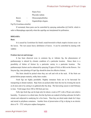 Hypsa ficus
Phycodes radiata
Borers : Olenecamptusbilobus
Thrips : Gigantothrips elegans.
Fig Fly (Lonchaea aristella)
If warranted, these pests can be controlled by spraying endosulfan @2.5ml/lit. which is
safer to Blastophaga especially when the caprifigs are interplanted for pollination.
DISEASES:
Rust:
It is caused by Cerotolium fici Small, round brownish to black eruptive lesions occur on
the leaves. The rust causes heavy defoliation of leaves. It can be controlled by dusting with
sulphur.
Fruitset, harvest and storage:
It has been observed even in common fig or Adriatic fig, the phenomenon of
parthenocarpy is altered by climatic condition of a particular location. Hence there is a
possibility of failure of furitset by a particular variety in a particular location. The
parthenocarpic fruitset can be enhanced by spraying 25 ppm of NAA or IBA on the flowers. For
Smyrna figs, inter planting of Capri figs should be done for effective fruitset.
The fruits should be picked when they are soft and wilt at the neck. If the fruits are
picked before proper maturity, milky latex exudes.
Fresh figs are highly perishable. Slightly immature fruits are to be harvested for
transporting to distant markets. Ripe fruits are picked either form the tree by twisting the necvk
at eh stem end or by cutting it or gathered after thy drop. The harvesting season is mid February
to June. Yield ranges from 180 to 360 fruits per tree.
Fully ripe fresh figs can be kept only for about a week at 0o
C with a 90 per cent relative
humidity. To preserve in a dried state, first the fig fruits are soaked in boiling saltwater for half a
minute and subjected to sundrying for a few hours. Then they are dried under shade for 8 days
and stored in polythene containers. Another from of preservation of fig is drying in an electric
drier at 70 – 72o
C with prior sulphur fumigation.
122
Production Technology of Fruit Crops
www.Agrimoon.Com
 