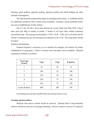 Stooling, apical grafting, approach grafting, approach grafting and shield budding are other
methods of propagation.
The land should be prepared thoroughly by ploughing and leveling. A windbreak should
be established around the litchi orchard using eucaluptus, casuarinas, jamun preferably before
one year of establishment of litchi orchard.
Pits of 1 M x M 1M x1 M are dug, allowed for a week, filled with 25kg FYM +2 kg of
bone meal and 300g of muriate of potash +1 basket of soil from litchi orchard containing
mycorrhizal fungi., The spacing recommended is 10 M x 10 M . If the soil is not fertile and the
climate is comparatively dry, the spacing can be reduced to 8 M x 8 M. The young plants should
be staked.
Irrigation and manuring:
Frequent irrigation is necessary so as to maintain the adequate soil moisture for proper
establishment of young plans. If there is moisture stress the plants will not establish. Manurial
requirement of lithchi is as follows.
Tree’s age
(Years)
N (g) P (g) K (g/tree)
1 75 25 75
2 100 25 100
3 150 50 150
4 250 75 250
5 250 75 250
6 years & above 600 200 250
For bearing trees also there should not be any moisture stress in soil.
Training and interculture:
Branches with narrow crotches should be removed. Terminal buds in long branching
cultivars should be removed to encourage branching. However intensive removal of vegetative
125
Production Technology of Fruit Crops
www.Agrimoon.Com
 