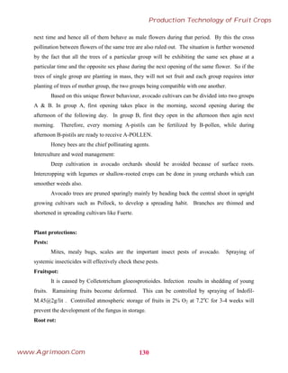 next time and hence all of them behave as male flowers during that period. By this the cross
pollination between flowers of the same tree are also ruled out. The situation is further worsened
by the fact that all the trees of a particular group will be exhibiting the same sex phase at a
particular time and the opposite sex phase during the next opening of the same flower. So if the
trees of single group are planting in mass, they will not set fruit and each group requires inter
planting of trees of mother group, the two groups being compatible with one another.
Based on this unique flower behaviour, avocado cultivars can be divided into two groups
A & B. In group A, first opening takes place in the morning, second opening during the
afternoon of the following day. In group B, first they open in the afternoon then agin next
morning. Therefore, every morning A-pistils can be fertilized by B-pollen, while during
afternoon B-pistils are ready to receive A-POLLEN.
Honey bees are the chief pollinating agents.
Interculture and weed management:
Deep cultivation in avocado orchards should be avoided because of surface roots.
Intercropping with legumes or shallow-rooted crops can be done in young orchards which can
smoother weeds also.
Avocado trees are pruned sparingly mainly by heading back the central shoot in upright
growing cultivars such as Pollock, to develop a spreading habit. Branches are thinned and
shortened in spreading cultivars like Fuerte.
Plant protections:
Pests:
Mites, mealy bugs, scales are the important insect pests of avocado. Spraying of
systemic insecticides will effectively check these pests.
Fruitspot:
It is caused by Colletotrichum gloeosprotioides. Infection results in shedding of young
fruits. Ramaining fruits become deformed. This can be controlled by spraying of Indofil-
M.45@2g/lit . Controlled atmospheric storage of fruits in 2% O2 at 7.2o
C for 3-4 weeks will
prevent the development of the fungus in storage.
Root rot:
130
Production Technology of Fruit Crops
www.Agrimoon.Com
 