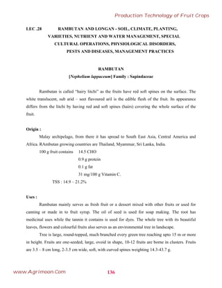 LEC .28 RAMBUTAN AND LONGAN - SOIL, CLIMATE, PLANTING,
VARIETIES, NUTRIENT AND WATER MANAGEMENT, SPECIAL
CULTURAL OPERATIONS, PHYSIOLOGICAL DISORDERS,
PESTS AND DISEASES, MANAGEMENT PRACTICES
RAMBUTAN
[Nephelium lappaceum] Family : Sapindaceae
Rambutan is called “hairy litchi” as the fruits have red soft spines on the surface. The
white translucent, sub arid – seet flavoured aril is the edible flesh of the fruit. Its appearance
differs from the litchi by having red and soft spines (hairs) covering the whole surface of the
fruit.
Origin :
Malay archipelago, from there it has spread to South East Asia, Central America and
Africa. RAmbutan growing countries are Thailand, Myammar, Sri Lanka, India.
100 g fruit contains 14.5 CHO
0.9 g protein
0.1 g fat
31 mg/100 g Vitamin C.
TSS : 14.9 – 21.2%
Uses :
Rambutan mainly serves as fresh fruit or a dessert mixed with other fruits or used for
canning or made in to fruit syrup. The oil of seed is used for soap making. The root has
medicinal uses while the tannin it contains is used for dyes. The whole tree with its beautiful
leaves, flowers and colourful fruits also serves as an environmental tree in landscape.
Tree is large, round-topped, much branched every green tree reaching upto 15 m or more
in height. Fruits are one-seeded, large, ovoid in shape, 10-12 fruits are borne in clusters. Fruits
are 3.5 – 8 cm long, 2-3.5 cm wide, soft, with curved spines weighting 14.3-43.7 g.
136
Production Technology of Fruit Crops
www.Agrimoon.Com
 