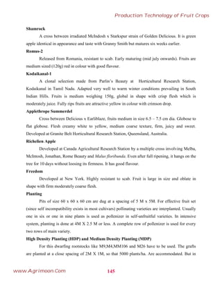 Shamrock
A cross between irradiated McIndosh x Starkspur strain of Golden Delicious. It is green
apple identical in appearance and taste with Granny Smith but matures six weeks earlier.
Romus-2
Released from Romania, resistant to scab. Early maturing (mid july onwards). Fruits are
medium sized (120g) red in colour with good flavour.
Kodaikanal-1
A clonal selection made from Parlin’s Beauty at Horticultural Research Station,
Kodaikanal in Tamil Nadu. Adapted very well to warm winter conditions prevailing in South
Indian Hills. Fruits is medium weighing 150g, global in shape with crisp flesh which is
moderately juice. Fully rips fruits are attractive yellow in colour with crimson drop.
Applethrope Summerdel
Cross between Delicious x Earliblaze, fruits medium in size 6.5 – 7.5 cm dia. Globose to
flat globose. Flesh creamy white to yellow, medium coarse texture, firm, juicy and sweet.
Developed at Granite Belt Horticultural Research Station, Queensland, Australia.
Richelien Apple
Developed at Canada Agricultural Research Station by a multiple cross involving Melba,
McIntosh, Jonathan, Rome Beauty and Malus floribunda. Even after full ripening, it hangs on the
tree for 10 days without loosing its firmness. It has good flavour.
Freedom
Developed at New York. Highly resistant to scab. Fruit is large in size and oblate in
shape with firm moderately coarse flesh.
Planting
Pits of size 60 x 60 x 60 cm are dug at a spacing of 5 M x 5M. For effective fruit set
(since self incompatibility exists in most cultivars) pollinating varieties are interplanted. Usually
one in six or one in nine plants is used as pollenizer in self-unfruitful varieties. In intensive
system, planting is done at 4M X 2.5 M or less. A complete row of pollenizer is used for every
two rows of main variety.
High Density Planting (HDP) and Medium Density Planting (MDP)
For this dwarfing rootstocks like M9,M4,MM106 and M26 have to be used. The grafts
are planted at a close spacing of 2M X 1M, so that 5000 plants/ha. Are accommodated. But in
145
Production Technology of Fruit Crops
www.Agrimoon.Com
 
