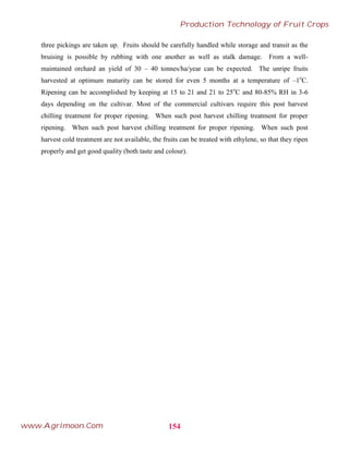 three pickings are taken up. Fruits should be carefully handled while storage and transit as the
bruising is possible by rubbing with one another as well as stalk damage. From a well-
maintained orchard an yield of 30 – 40 tonnes/ha/year can be expected. The unripe fruits
harvested at optimum maturity can be stored for even 5 months at a temperature of –1o
C.
Ripening can be accomplished by keeping at 15 to 21 and 21 to 25o
C and 80-85% RH in 3-6
days depending on the cultivar. Most of the commercial cultivars require this post harvest
chilling treatment for proper ripening. When such post harvest chilling treatment for proper
ripening. When such post harvest chilling treatment for proper ripening. When such post
harvest cold treatment are not available, the fruits can be treated with ethylene, so that they ripen
properly and get good quality (both taste and colour).
154
Production Technology of Fruit Crops
www.Agrimoon.Com
 