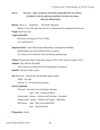 LEC.6 BANANA – SOIL, CLIMATE, PLANTING, HIGH DENSITY PLANTING,
NUTRIENT AND WATER MANAGEMENT, INTER CULTURAL
SPECIAL OPERATIONS
Banana : Musa sp Scitaminae Sub family: Musaceae
Banana is one of the oldest fruit known to mankind and also important food for man.
Origin: South East Asia
‘Apple of paradise’
Rich source of energy (137 K. Ca/100g)
It is a good laxative.
Important status: Tamil Nadu, Kerala, Maharashtra, Andrapradesh and Bihar.
Edible bananas are mostly hybrids of the two species.
M. acuminata, M. balbisiana. They set fruits by parthenocarpy.
Climate: Humid tropic plant. Temperature range of 10°C to 40°C with an average of 23°C.
Altitude: Upto 1500 mts from MSL.
Wind velocity more than 80 m/hr will damage the crop heavily.
Rainfall : 100 mm/ month is good.
Soil: Deep well – drained soil with abundant organic matter.
Depth – one mete
Soil pH: 5.5 – 8.0 found to be optimum.
Season of planting
Wet land – Feb-April: Poovan, Rasthali, Monthan
April – May : Nendran, Robusta
Garden lands : January – February and November – December
Padugai lands : January – February and August – September
Hill banana : April – May (lower palani hills)
June – Aug (Sirumalai)
Propagation : Sucker
31
Production Technology of Fruit Crops
www.Agrimoon.Com
 