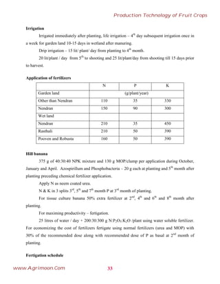 Irrigation
Irrigated immediately after planting, life irrigation – 4th
day subsequent irrigation once in
a week for garden land 10-15 days in wetland after manuring.
Drip irrigation – 15 lit/ plant/ day from planting to 4th
month.
20 lit/plant / day from 5th
to shooting and 25 lit/plant/day from shooting till 15 days prior
to harvest.
Application of fertilizers
N P K
Garden land (g/plant/year)
Other than Nendran 110 35 330
Nendran 150 90 300
Wet land
Nendran 210 35 450
Rasthali 210 50 390
Pooven and Robusta 160 50 390
Hill banana
375 g of 40:30:40 NPK mixture and 130 g MOP/clump per application during October,
January and April. Azospirillum and Phosphobacteria – 20 g each at planting and 5th
month after
planting preceding chemical fertilizer application.
Apply N as neem coated urea.
N & K in 3 splits 3rd
, 5th
and 7th
month P at 3rd
month of planting.
For tissue culture banana 50% extra fertilizer at 2nd
, 4th
and 6th
and 8th
month after
planting.
For maximing productivity – fertigation.
25 litres of water / day + 200:30:300 g N:P2O5:K2O /plant using water soluble fertilizer.
For economizing the cost of fertilizers fertigate using normal fertilizers (urea and MOP) with
30% of the recommended dose along with recommended dose of P as basal at 2nd
month of
planting.
Fertigation schedule
33
Production Technology of Fruit Crops
www.Agrimoon.Com
 