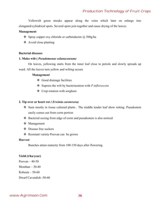 Yellowish green streaks appear along the veins which later on enlarge into
elongated/cylindrical spots. Several spots join together and cause drying of the leaves.
Management
 Spray copper oxy chloride or carbendazim @ 500g/ha
 Avoid close planting
Bacterial diseases
1. Moko wilt ( Pseudomonas solanacearum)
On leaves, yellowing starts from the inner leaf close to petiole and slowly spreads up
ward. All the leaves turn yellow and wilting occurs
Management
 Good drainage facilities
 Supress the wilt by bacteriazation with P.inflorescens
 Crop rotation with sorghum
2. Tip over or heart rot ( Erwinia carotovora)
 Seen mostly in tissue cultured plants . The middle tender leaf show rotting. Pseudostem
easily comes out from corm portion
 Bacterial oozing from edge of corm and pseudostem is also noticed
 Management
 Disease free suckers
 Resistant variety Poovan can be grown
Harvest
Bunches attain maturity from 100-150 days after flowering.
Yield (t/ha/year)
Poovan – 40-50
Monthan – 30-40
Robusta – 50-60
Dwarf Cavendish -50-60
38
Production Technology of Fruit Crops
www.Agrimoon.Com
 
