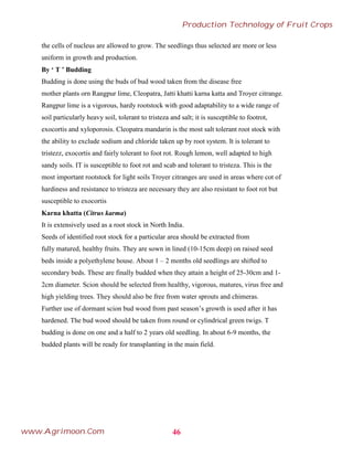 the cells of nucleus are allowed to grow. The seedlings thus selected are more or less
uniform in growth and production.
By ‘ T ’ Budding
Budding is done using the buds of bud wood taken from the disease free
mother plants orn Rangpur lime, Cleopatra, Jatti khatti karna katta and Troyer citrange.
Rangpur lime is a vigorous, hardy rootstock with good adaptability to a wide range of
soil particularly heavy soil, tolerant to tristeza and salt; it is susceptible to footrot,
exocortis and xyloporosis. Cleopatra mandarin is the most salt tolerant root stock with
the ability to exclude sodium and chloride taken up by root system. It is tolerant to
tristezz, exocortis and fairly tolerant to foot rot. Rough lemon, well adapted to high
sandy soils. IT is susceptible to foot rot and scab and tolerant to tristeza. This is the
most important rootstock for light soils Troyer citranges are used in areas where cot of
hardiness and resistance to tristeza are necessary they are also resistant to foot rot but
susceptible to exocortis
Karna khatta (Citrus karma)
It is extensively used as a root stock in North India.
Seeds of identified root stock for a particular area should be extracted from
fully matured, healthy fruits. They are sown in lined (10-15cm deep) on raised seed
beds inside a polyethylene house. About 1 – 2 months old seedlings are shifted to
secondary beds. These are finally budded when they attain a height of 25-30cm and 1-
2cm diameter. Scion should be selected from healthy, vigorous, matures, virus free and
high yielding trees. They should also be free from water sprouts and chimeras.
Further use of dormant scion bud wood from past season’s growth is used after it has
hardened. The bud wood should be taken from round or cylindrical green twigs. T
budding is done on one and a half to 2 years old seedling. In about 6-9 months, the
budded plants will be ready for transplanting in the main field.
46
Production Technology of Fruit Crops
www.Agrimoon.Com
 