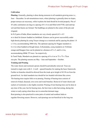 Cultivation
Planting: Generally, planting is done during monsoon in all mandarin growing areas i.e.,
June – December. In sub mountainous tracts, where planting is generally done on slopes,
proper terraces are necessary, while in plains the land should be leveled properly. Pits of
45 cubic centimeters are dug at a spacing of 6 x 6 m and filled with FYM, sand and top
soil and then basins are formed. The buddlings are planted in the center of the pits and
irrigated.
In N-E parts of India, Khasi mandarins are very closely spaced (4.5 x 4.5
m is ideal for kinnow budded on Jattikhatti. Kinnow can be grown successfully under
high density planting by using Troyer citrange as a rootstock and by spacing the plants 1.8
x 1.8 m, accommodating 3000 lr/ha. The optimum spacing for Nagpur mandarin is
6 x 6 m when budded on Rough lemon. In Karnataka, coorg mandarin on Trifoliate
orange and Rangpur lime can be planted at a distance of 5 x 5, and 6 x 6 m,
accommodating 400& 275 trees / ha respectively.
In Tamil Nadu, Mandarin are planted at a spacing of 6 x 6 m in 75 x 75 x 75cm
size pits. The planting seasons are May – June and September – October.
Training and Pruning
The water shoots and rootstock sprouts should be periodically removed. Trees are
trained to single stem with 4 – 6 well – spaced branches for making the basic framework.
Further no branches should be allowed from the trunk up to height of 45-50 cm from the
ground level. An ideal mandarin tree should be low headed with dome like crown.
The bearing trees require little or no pruning. Pruning of bearing trees consists of
removal of dead, diseased, criss-cross and weak branches. Removal of water shoots and
suckers of rootstocks is also highly essential. Pruning of non-bearing trees can be done at
any time of the year, but for bearing trees, the best time is after harvesting, during late
winter or early spring when these are in somewhat dormant stage.
Root pruning is also practiced in some parts of central and southern India to
regulate flowering season. However, such prunings are not beneficial in the long run.
47
Production Technology of Fruit Crops
www.Agrimoon.Com
 