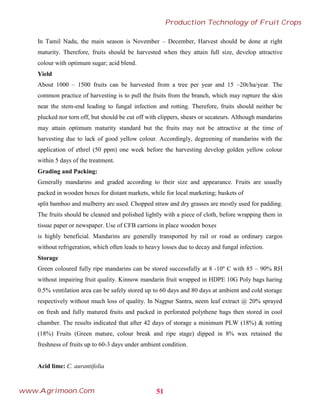 In Tamil Nadu, the main season is November – December, Harvest should be done at right
maturity. Therefore, fruits should be harvested when they attain full size, develop attractive
colour with optimum sugar; acid blend.
Yield
About 1000 – 1500 fruits can be harvested from a tree per year and 15 –20t/ha/year. The
common practice of harvesting is to pull the fruits from the branch, which may rupture the skin
near the stem-end leading to fungal infection and rotting. Therefore, fruits should neither be
plucked nor torn off, but should be cut off with clippers, shears or secateurs. Although mandarins
may attain optimum maturity standard but the fruits may not be attractive at the time of
harvesting due to lack of good yellow colour. Accordingly, degreening of mandarins with the
application of ethrel (50 ppm) one week before the harvesting develop golden yellow colour
within 5 days of the treatment.
Grading and Packing:
Generally mandarins and graded according to their size and appearance. Fruits are usually
packed in wooden boxes for distant markets, while for local marketing; baskets of
split bamboo and mulberry are used. Chopped straw and dry grasses are mostly used for padding.
The fruits should be cleaned and polished lightly with a piece of cloth, before wrapping them in
tissue paper or newspaper. Use of CFB carrions in place wooden boxes
is highly beneficial. Mandarins are generally transported by rail or road as ordinary cargos
without refrigeration, which often leads to heavy losses due to decay and fungal infection.
Storage
Green coloured fully ripe mandarins can be stored successfully at 8 -10º C with 85 – 90% RH
without impairing fruit quality. Kinnow mandarin fruit wrapped in HDPE 10G Poly bags haring
0.5% ventilation area can be safely stored up to 60 days and 80 days at ambient and cold storage
respectively without much loss of quality. In Nagpur Santra, neem leaf extract @ 20% sprayed
on fresh and fully matured fruits and packed in perforated polythene bags then stored in cool
chamber. The results indicated that after 42 days of storage a minimum PLW (18%) & rotting
(18%) Fruits (Green mature, colour break and ripe stage) dipped in 8% wax retained the
freshness of fruits up to 60-3 days under ambient condition.
Acid lime: C. aurantifolia
51
Production Technology of Fruit Crops
www.Agrimoon.Com
 