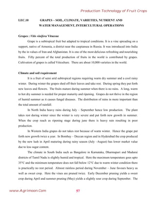 LEC.10 GRAPES – SOIL, CLIMATE, VARIETIES, NUTRIENT AND
WATER MANAGEMENT, INTERCULTURAL OPERATIONS
Grapes : Vitis vinifera Vitaceae
Grape is a subtropical fruit but adapted to tropical conditions. It is a vine spreading on a
support, native of Armenia, a district near the caspiansea in Russia. It was introduced into India
by the in values of Iran and Afghanistan. It is one of the most delicious refreshing and nourishing
fruits. Fifty percent of the total production of fruits in the world is contributed by grapes.
Cultivation of grapes is called Viticulture. There are about 10,000 varieties in the world.
Climate and soil requirement
It is a fruit of semi arid subtropical regions requiring warm dry summer and a cool rainy
winter. During winter the grapes shed off their leaves and take rest. During spring they put forth
new leaves and flowers. The fruits mature during summer when there is no rains. A long, warm
to hot dry summer is needed for proper maturity and ripening. Grapes do not thrive in the region
of humid summer as it causes fungal diseases. The distribution of rains in more important than
the total amount of rainfall.
In North India heavy rains during July – September hence low production. The plant
takes rest during winter since the winter is very severe and put forth new growth in summer.
When the crop reach as ripening stage during june there is heavy rain resulting in poor
production.
In Western India grapes do not takes rest because of warm winter. Hence the grape put
forth new growth twice a year. In Bombay – Deccan region and in Hyderabad the crop produced
by the new lush in April maturing during rainy season (July –August) has lower market value
due to less sugar content.
The climate in South India such as Bangalore in Karnataka, Dharmapuri and Madurai
districts of Tamil Nadu is slightly humid and tropical. Here the maximum temperature goes upto
35°C and the minimum temperature does not fall below 12°C due to warm winter condition there
is practically no rest period. Almost rainless period during November – June favours heavy as
well as sweet crop. Here the vines are pruned twice. Early December pruning yields a sweet
crop during April and summer pruning (May) yields a slightly sour crop during September. The
57
Production Technology of Fruit Crops
www.Agrimoon.Com
 