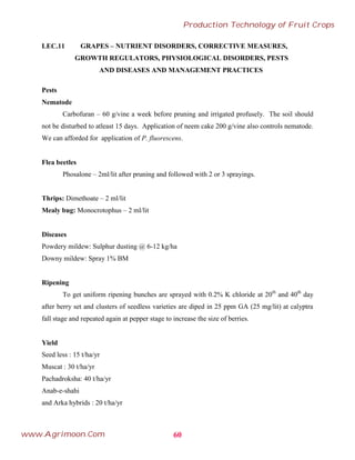 LEC.11 GRAPES – NUTRIENT DISORDERS, CORRECTIVE MEASURES,
GROWTH REGULATORS, PHYSIOLOGICAL DISORDERS, PESTS
AND DISEASES AND MANAGEMENT PRACTICES
Pests
Nematode
Carbofuran – 60 g/vine a week before pruning and irrigated profusely. The soil should
not be disturbed to atleast 15 days. Application of neem cake 200 g/vine also controls nematode.
We can afforded for application of P. fluorescens.
Flea beetles
Phosalone – 2ml/lit after pruning and followed with 2 or 3 sprayings.
Thrips: Dimethoate – 2 ml/lit
Mealy bug: Monocrotophus – 2 ml/lit
Diseases
Powdery mildew: Sulphur dusting @ 6-12 kg/ha
Downy mildew: Spray 1% BM
Ripening
To get uniform ripening bunches are sprayed with 0.2% K chloride at 20th
and 40th
day
after berry set and clusters of seedless varieties are diped in 25 ppm GA (25 mg/lit) at calyptra
fall stage and repeated again at pepper stage to increase the size of berries.
Yield
Seed less : 15 t/ha/yr
Muscat : 30 t/ha/yr
Pachadroksha: 40 t/ha/yr
Anab-e-shahi
and Arka hybrids : 20 t/ha/yr
60
Production Technology of Fruit Crops
www.Agrimoon.Com
 