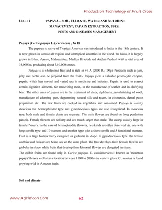 LEC. 12 PAPAYA – SOIL, CLIMATE, WATER AND NUTRIENT
MANAGEMENT, PAPAIN EXTRACTION, USES,
PESTS AND DISEASES MANAGEMENT
Papaya (Carica papaya L.), caricaceae , 2n 18
The papaya is native of Tropical America was introduced to India in the 18th century. It
is now grown in almost all tropical and subtropical countries in the world.' In India, it is largely
grown in Bihar, Assam, Maharashtra,. Madhya Pradesh and Andhra Pradesh with a total area of
34,000 ha, producing about 3,50,000 tonnes.
Papaya is a wholesome fruit and is rich in vit-A (2000 IU/100g). Products such as jam,
jelly and nectar can be prepared from the fruits. Papaya yield a valuable proteolytic enzyme,
papain, which has several and varied usa in medicine and industry. Papain is used to correct
certain digestive ailments, for tenderizing meat, in the manufacture of leather and in clarifying
beer. The other uses of papain are in the treatment of ulcer, diphtheria, pre-shrinking of wool,
manufacture of chewing gum, degumming natural silk and rayon, in cosmetics, dental paste
preparation etc. The raw fruits are cooked as vegetables and consumed. Papaya is usually
dioecious but hermophrodite type and gynodioecious types are also recognized. In dioecious
type, both male and female plants are separate. The male flowers are found on long pendulous
panicle. Female flowers are solitary and are much larger than male. The ovary usually large in
female flowers. In the case of hermophrodite flowers, two kinds are often observed viz. one with
long corolla type and 10 stamens and another type with a short corolla and 5 functional stamens.
Fruit is a large hollow berry elongated or globular in shape. In gynodioecious type, the female
and bisexual flowers are borne one on the same plant. The fruit develops from female flowers are
globular in shape while fruits that develop from bisexual flowers are elongated in shape.
The edible fruits are found only in Carica papaya. C. candamarcensis known as 'mountain
papaya' thrives well at an elevation between 1500 to 2000m in western ghats. C. monica is found
growing wild in Amazon basin.
Soil and climate
62
Production Technology of Fruit Crops
www.Agrimoon.Com
 