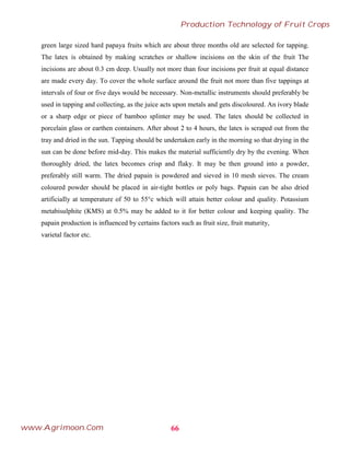 green large sized hard papaya fruits which are about three months old are selected for tapping.
The latex is obtained by making scratches or shallow incisions on the skin of the fruit The
incisions are about 0.3 cm deep. Usually not more than four incisions per fruit at equal distance
are made every day. To cover the whole surface around the fruit not more than five tappings at
intervals of four or five days would be necessary. Non-metallic instruments should preferably be
used in tapping and collecting, as the juice acts upon metals and gets discoloured. An ivory blade
or a sharp edge or piece of bamboo splinter may be used. The latex should be collected in
porcelain glass or earthen containers. After about 2 to 4 hours, the latex is scraped out from the
tray and dried in the sun. Tapping should be undertaken early in the morning so that drying in the
sun can be done before mid-day. This makes the material sufficiently dry by the evening. When
thoroughly dried, the latex becomes crisp and flaky. It may be then ground into a powder,
preferably still warm. The dried papain is powdered and sieved in 10 mesh sieves. The cream
coloured powder should be placed in air-tight bottles or poly bags. Papain can be also dried
artificiaIly at temperature of 50 to 55°c which will attain better colour and quality. Potassium
metabisulphite (KMS) at 0.5% may be added to it for better colour and keeping quality. The
papain production is influenced by certains factors such as fruit size, fruit maturity,
varietal factor etc.
66
Production Technology of Fruit Crops
www.Agrimoon.Com
 
