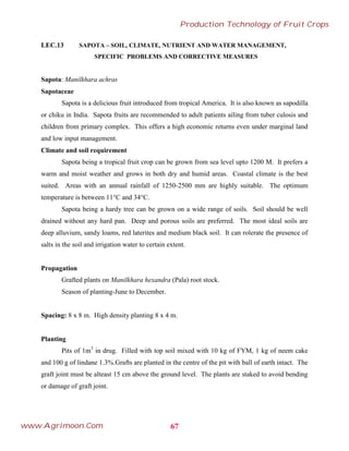 LEC.13 SAPOTA – SOIL, CLIMATE, NUTRIENT AND WATER MANAGEMENT,
SPECIFIC PROBLEMS AND CORRECTIVE MEASURES
Sapota: Manilkhara achras
Sapotaceae
Sapota is a delicious fruit introduced from tropical America. It is also known as sapodilla
or chiku in India. Sapota fruits are recommended to adult patients ailing from tuber culosis and
children from primary complex. This offers a high economic returns even under marginal land
and low input management.
Climate and soil requirement
Sapota being a tropical fruit crop can be grown from sea level upto 1200 M. It prefers a
warm and moist weather and grows in both dry and humid areas. Coastal climate is the best
suited. Areas with an annual rainfall of 1250-2500 mm are highly suitable. The optimum
temperature is between 11°C and 34°C.
Sapota being a hardy tree can be grown on a wide range of soils. Soil should be well
drained without any hard pan. Deep and porous soils are preferred. The most ideal soils are
deep alluvium, sandy loams, red laterites and medium black soil. It can rolerate the presence of
salts in the soil and irrigation water to certain extent.
Propagation
Grafted plants on Manilkhara hexandra (Pala) root stock.
Season of planting-June to December.
Spacing: 8 x 8 m. High density planting 8 x 4 m.
Planting
Pits of 1m3
in drug. Filled with top soil mixed with 10 kg of FYM, 1 kg of neem cake
and 100 g of lindane 1.3%.Grafts are planted in the centre of the pit with ball of earth intact. The
graft joint must be alteast 15 cm above the ground level. The plants are staked to avoid bending
or damage of graft joint.
67
Production Technology of Fruit Crops
www.Agrimoon.Com
 