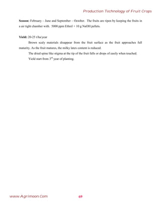 Season: February – June and September – October. The fruits are ripen by keeping the fruits in
a air tight chamber with. 5000 ppm Ethrel + 10 g NaOH pellets.
Yield: 20-25 t/ha/year
Brown scaly materials disappear from the fruit surface as the fruit approaches full
maturity. As the fruit matures, the milky latex content is reduced.
The dried spine like stigma at the tip of the fruit falls or drops of easily when touched.
Yield start from 3rd
year of planting.
69
Production Technology of Fruit Crops
www.Agrimoon.Com
 